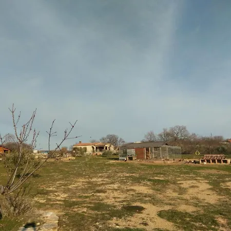 Ferienhaus Family Friendly House With A Swimming Pool Popovici, Zagora - 14074 Benkovac