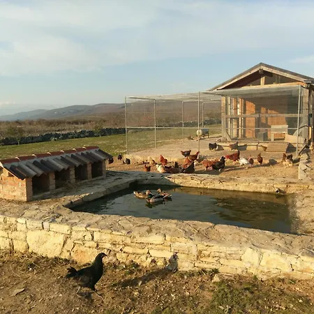 Family Friendly House With A Swimming Pool Popovici, Zagora - 14074 Holiday home *