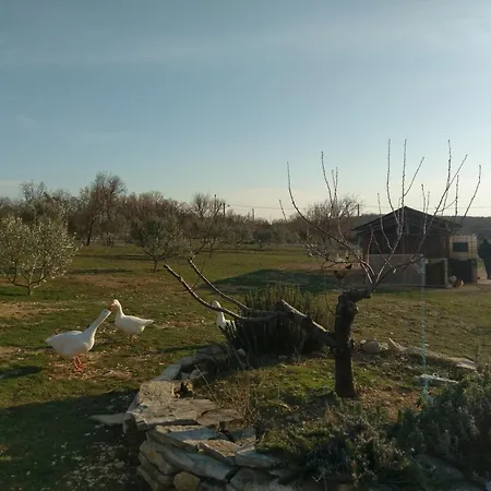 Family Friendly House With A Swimming Pool Popovici, Zagora - 14074 Benkovac